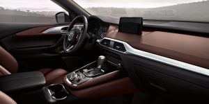 2019 Mazda CX | 2019 Mazda CX-9 in Rochester, MN