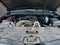 2013 Chevrolet Tahoe LT 4WD
