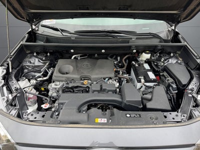 2025 Toyota RAV4 LE AWD
