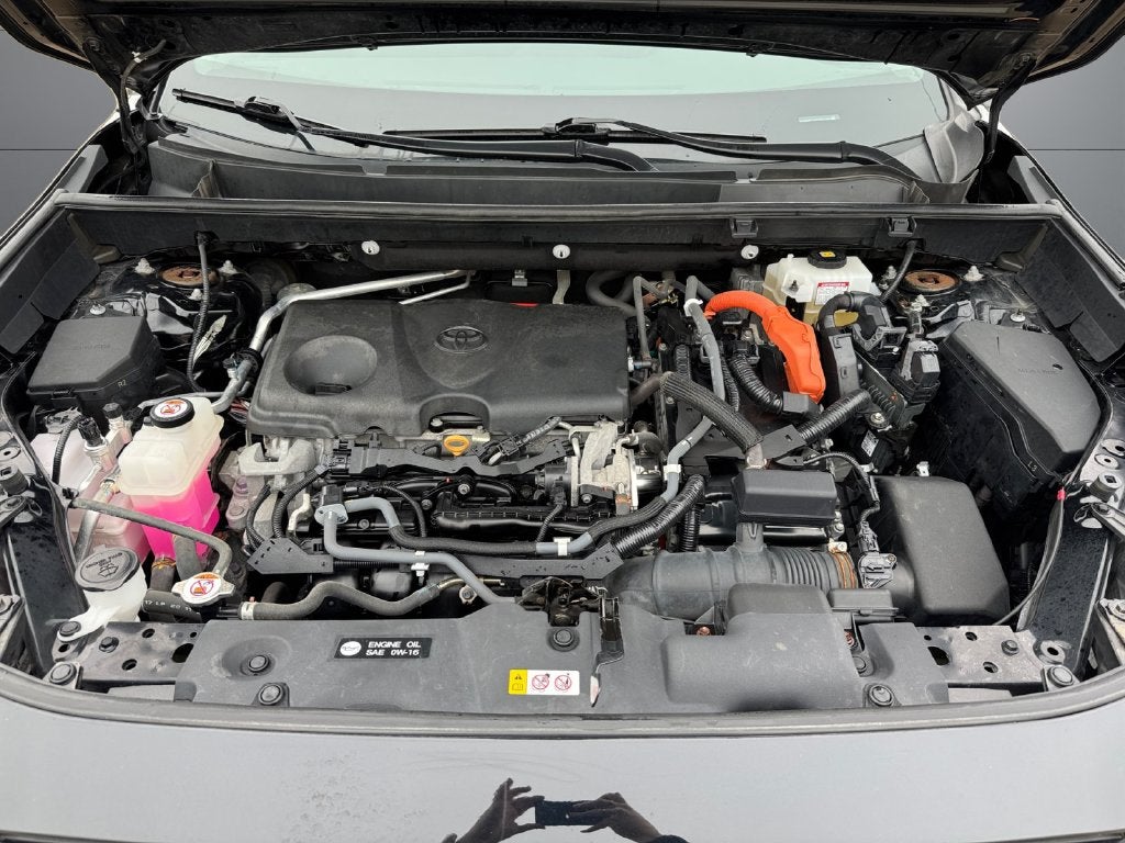 2019 Toyota RAV4 Hybrid LE AWD
