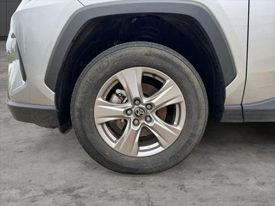 2025 Toyota RAV4 XLE AWD