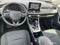 2025 Toyota RAV4 XLE AWD