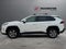 2024 Toyota RAV4 XLE AWD