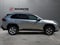 2025 Toyota RAV4 XLE AWD