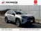 2024 Toyota RAV4 XLE AWD