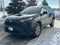 2025 Toyota RAV4 XLE AWD