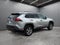 2025 Toyota RAV4 XLE AWD