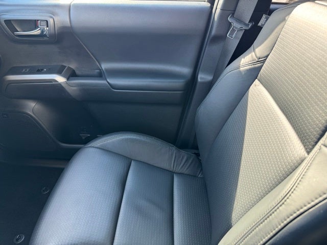 2023 Toyota Tacoma Limited V6