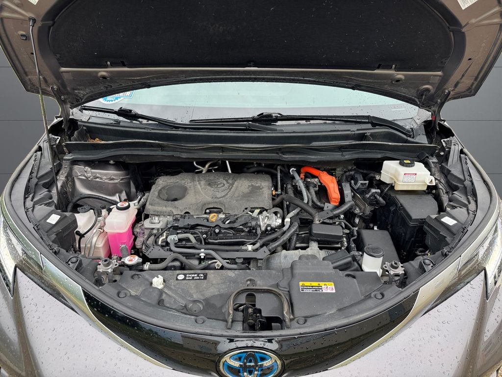 2022 Toyota Sienna XSE 7 Passenger