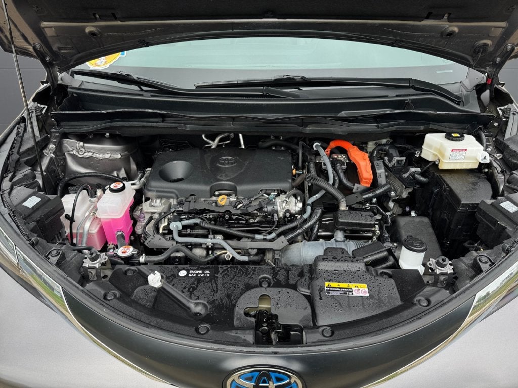 2023 Toyota Sienna XLE 7 Passenger