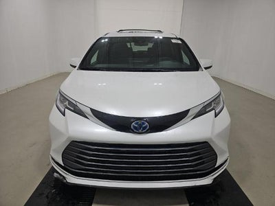 2025 Toyota Sienna Limited 7 Passenger