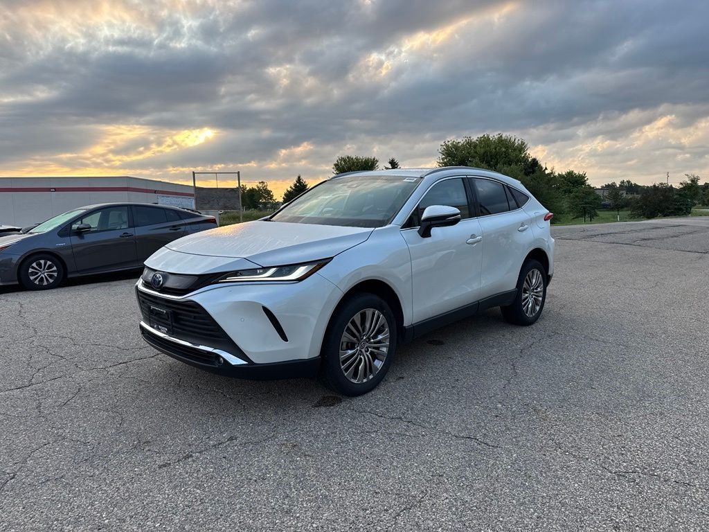 2024 Toyota Venza XLE AWD