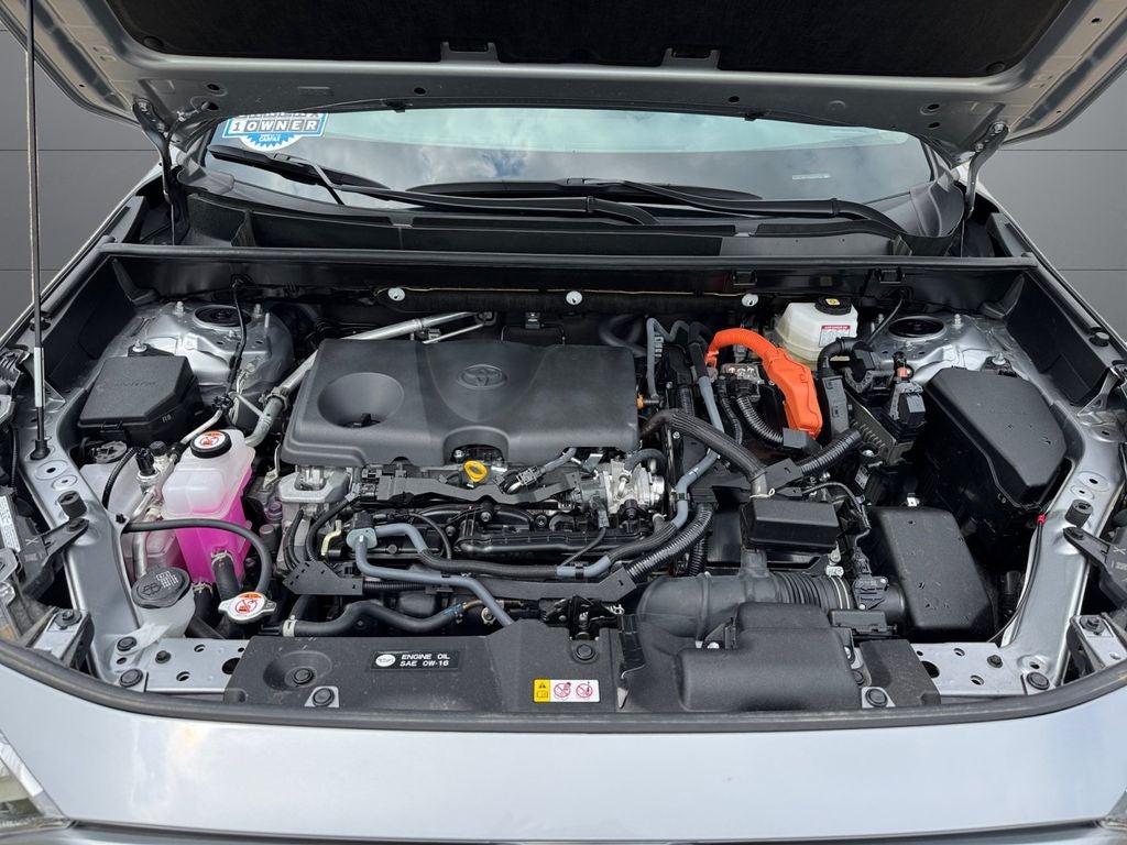 2025 Toyota RAV4 Hybrid LE AWD