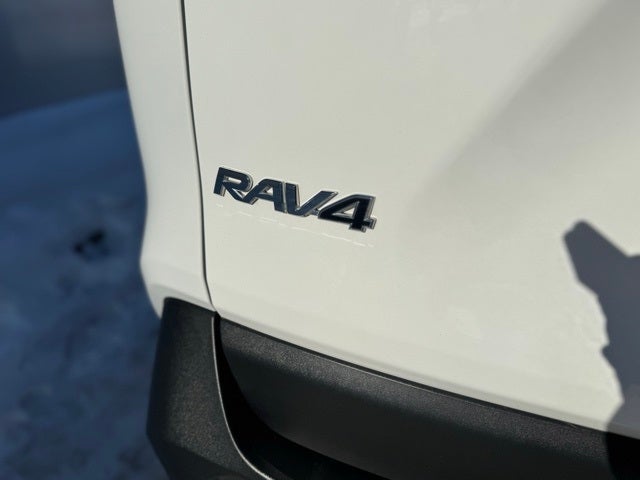 2019 Toyota RAV4 Hybrid LE AWD