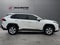 2019 Toyota RAV4 XLE FWD