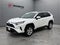 2019 Toyota RAV4 XLE FWD
