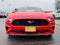 2021 Ford Mustang EcoBoost Premium w/ Adaptive Cruise Control