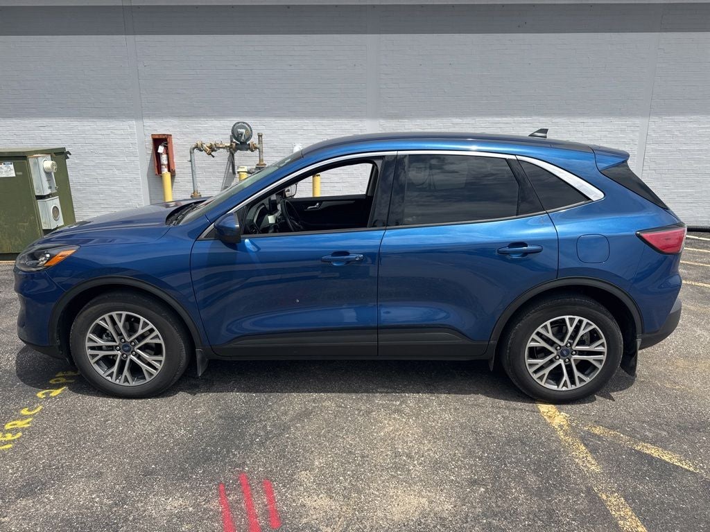 2022 Ford Escape Hybrid SEL