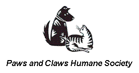 Rochester Mazda in Rochester MN